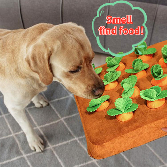 Carrot-Patch Snuffle Toy for Dogs