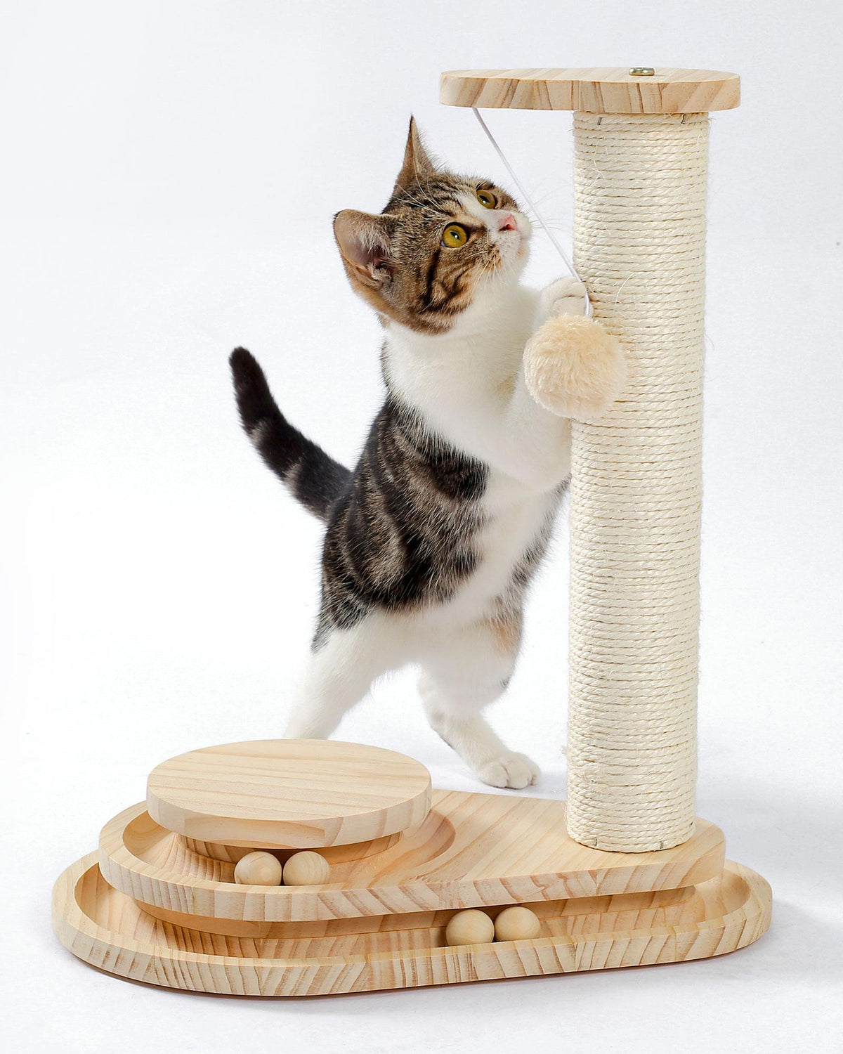 Cat Scratching Board with Ball Track