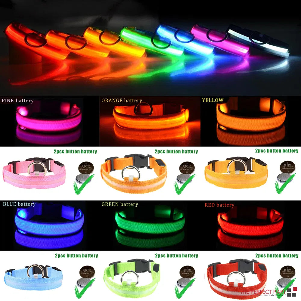 LED Light-Up Dog Collar