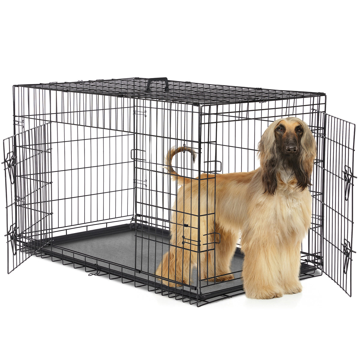 Double-Door Wire Dog Crate