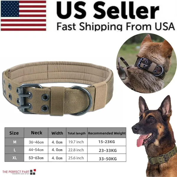Wide Nylon Dog Collar with Metal Buckle