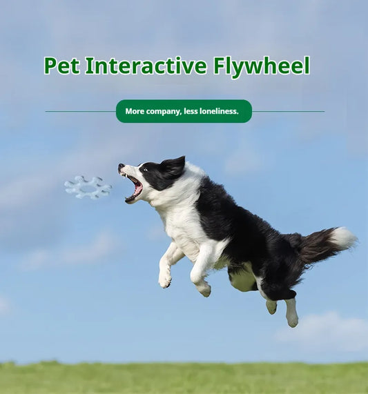 Interactive Dog Flywheel Toy