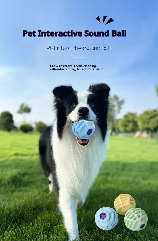 Interactive Pet Sound Ball