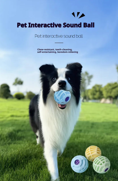 Interactive Pet Sound Ball