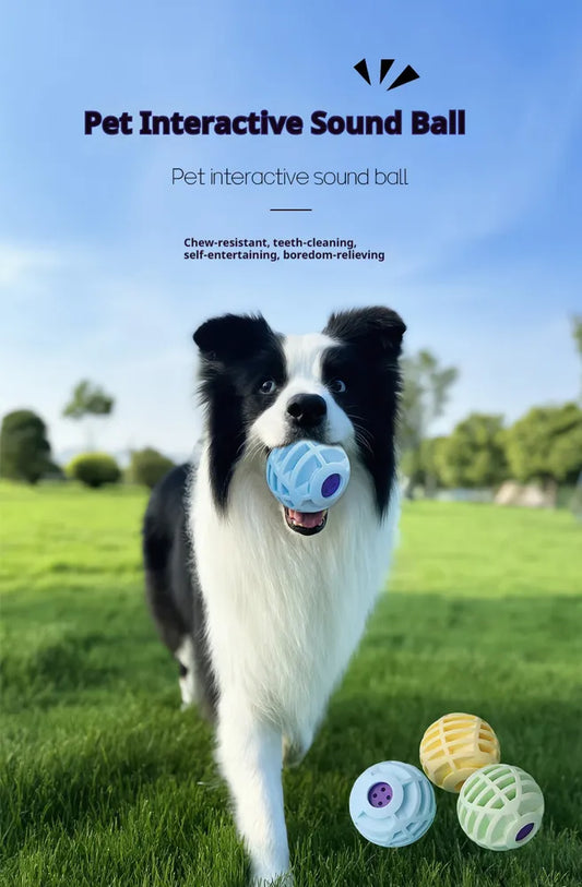 Interactive Pet Sound Ball