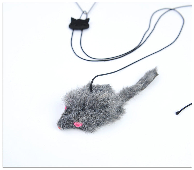 Pet Telescopic Hanging Door Small Mouse Pets Cat Toy — product detail