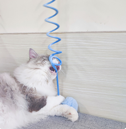 Cat Toy Self-Hi Sucker Spring Rabbit Hair Ball Interactive Play Pet Supplies Interactive Toys — product detail