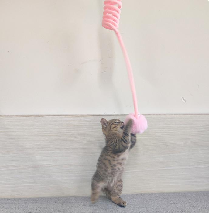 Cat Toy Self-Hi Sucker Spring Rabbit Hair Ball Interactive Play Pet Supplies Interactive Toys — product detail