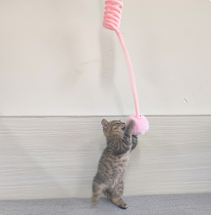 Cat Toy Self-Hi Sucker Spring Rabbit Hair Ball Interactive Play Pet Supplies Interactive Toys — product detail