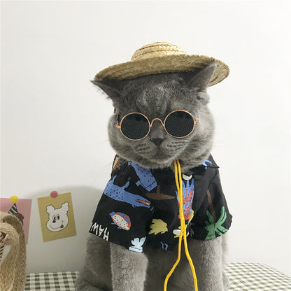 Cat clothes — product detail