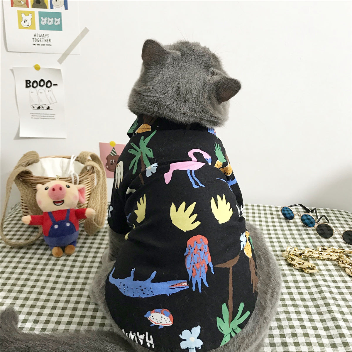 Cat clothes — product detail