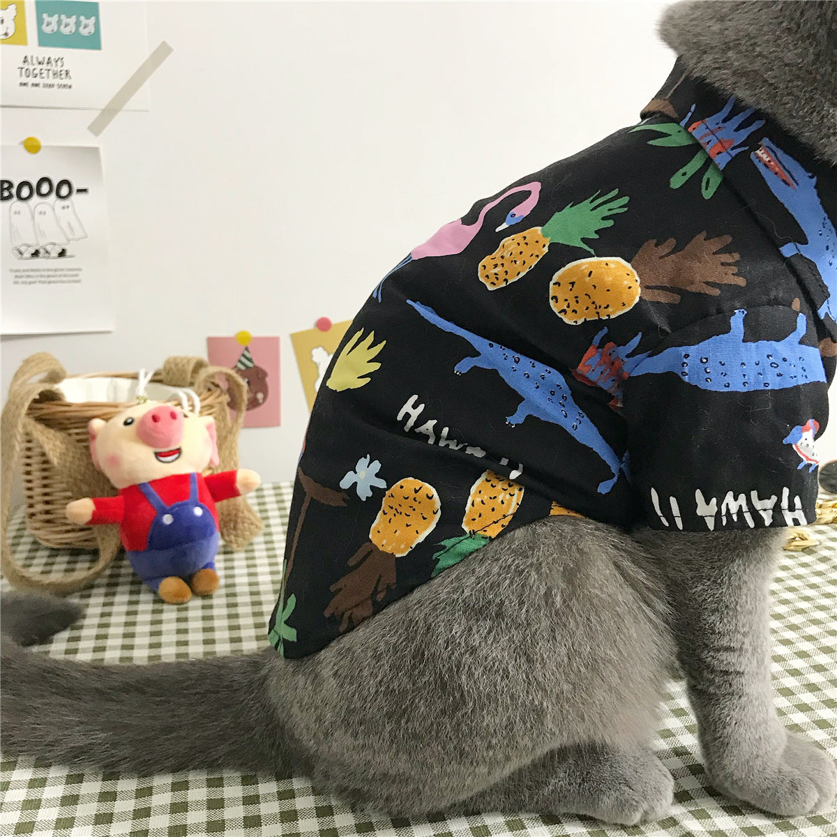 Cat clothes — product detail