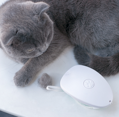 Brush Brush Cat Hair White Pet — product detail