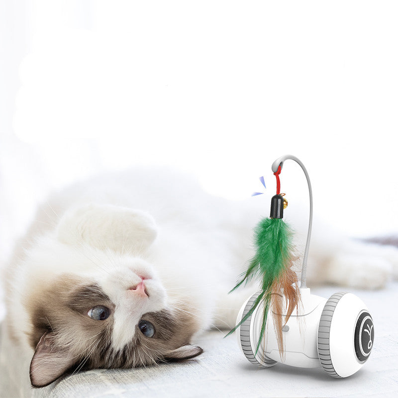 Interactive Cat Toy With Interchangeable Heads  Pet Feather Toys — product detail