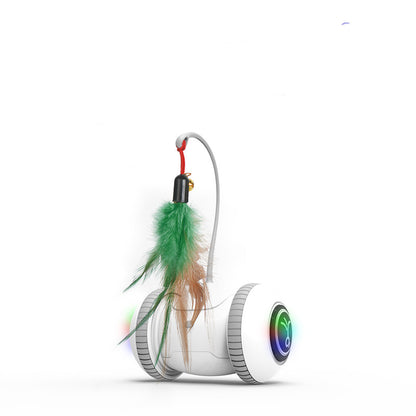 Interactive Cat Toy With Interchangeable Heads  Pet Feather Toys — product detail
