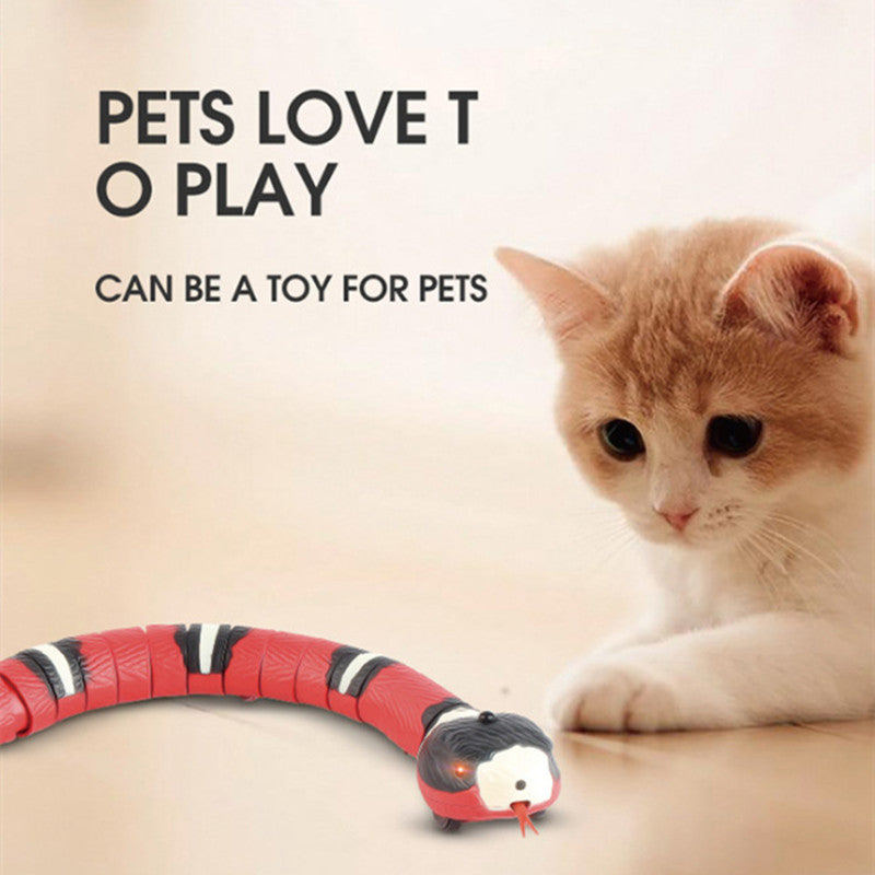 Interactive Electric Induction Snake Funny Cat Toy — product detail