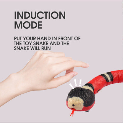 Interactive Electric Induction Snake Funny Cat Toy — product detail
