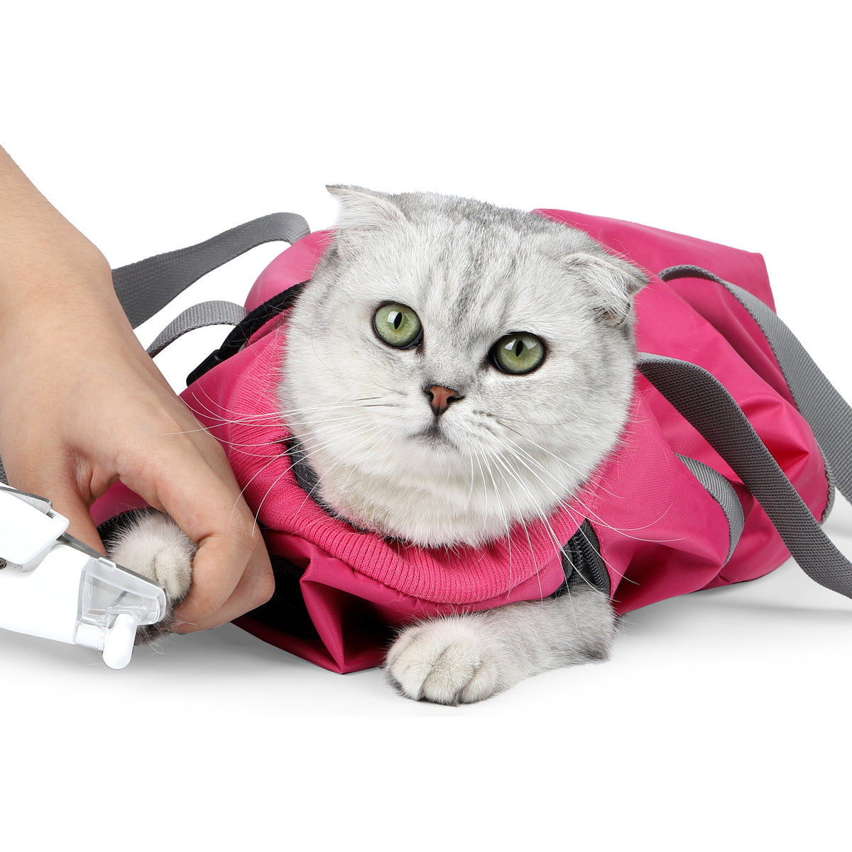 Cat Travel Bag Double Lined Anti Scratch And Bite Pet Bags — product detail