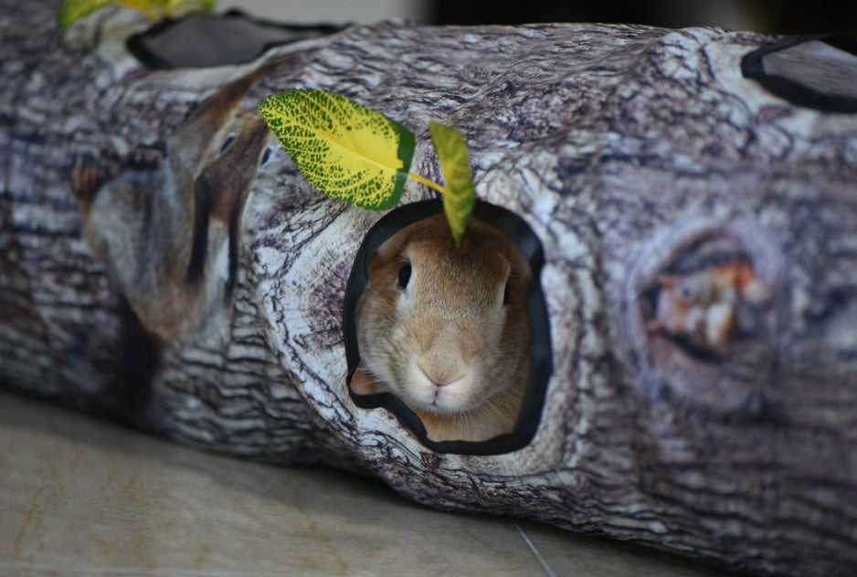 Tree Pattern Tunnel Pet Zhiyi Cat Toy Pets Supplies Dog Toys — product detail