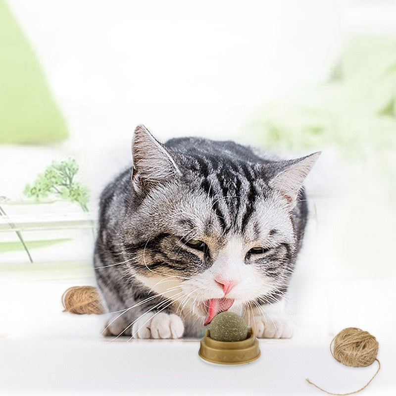Rotating Catnip Ball with Holder — product detail