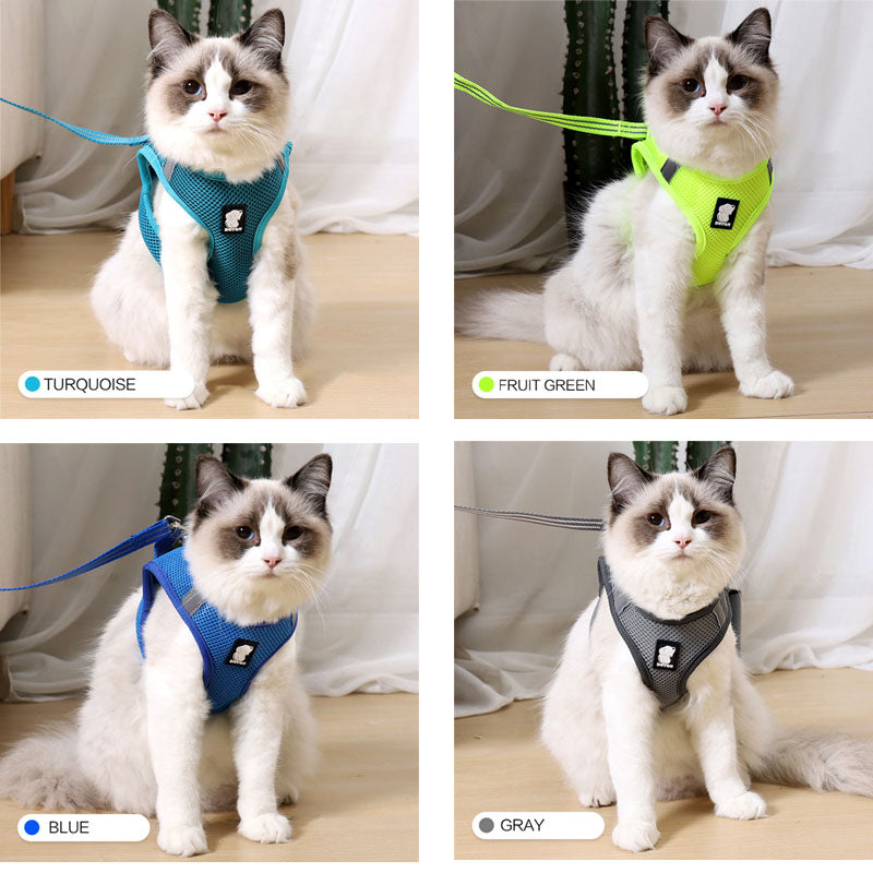 Anti-strike cat traction cat harness — product detail