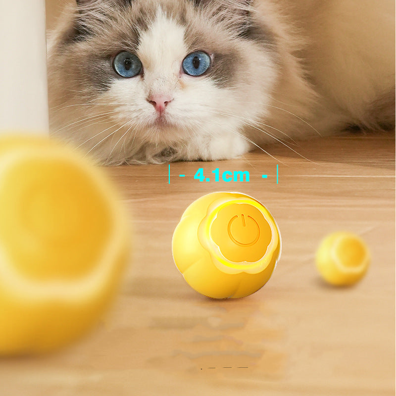 Pet Smart Rolling Ball Cat Toy Bite-resistant Boredom Relief — product detail