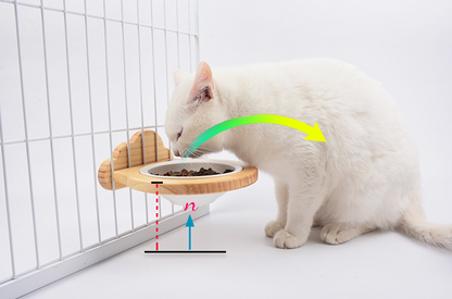 Ceramic Pet Bowl with Wood Stand — product detail