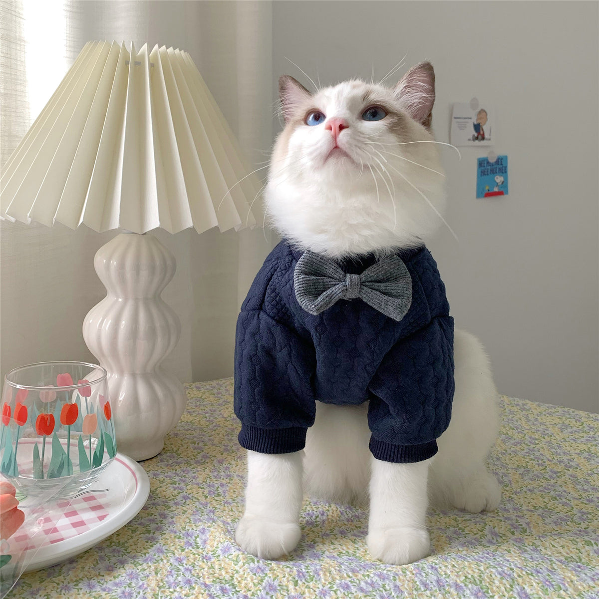 Warm And Cute Clothes For Pets Feet — product detail