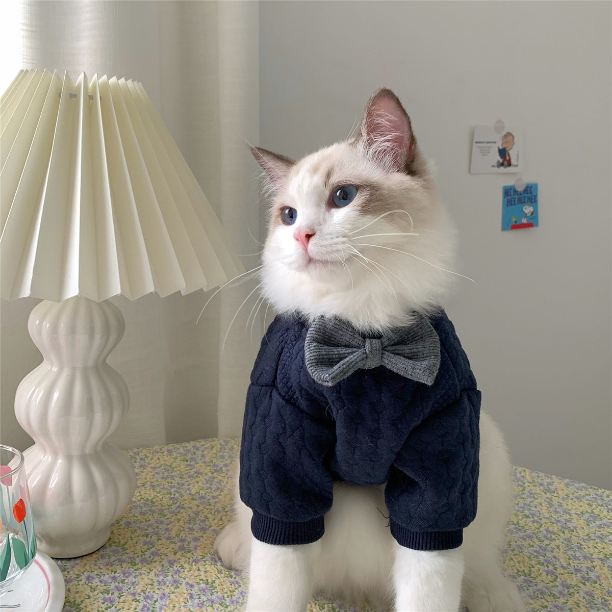 Warm And Cute Clothes For Pets Feet — product detail