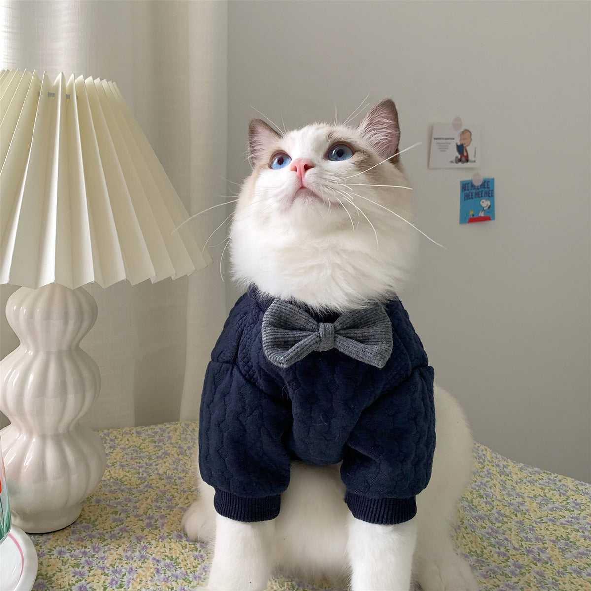 Warm And Cute Clothes For Pets Feet — product detail