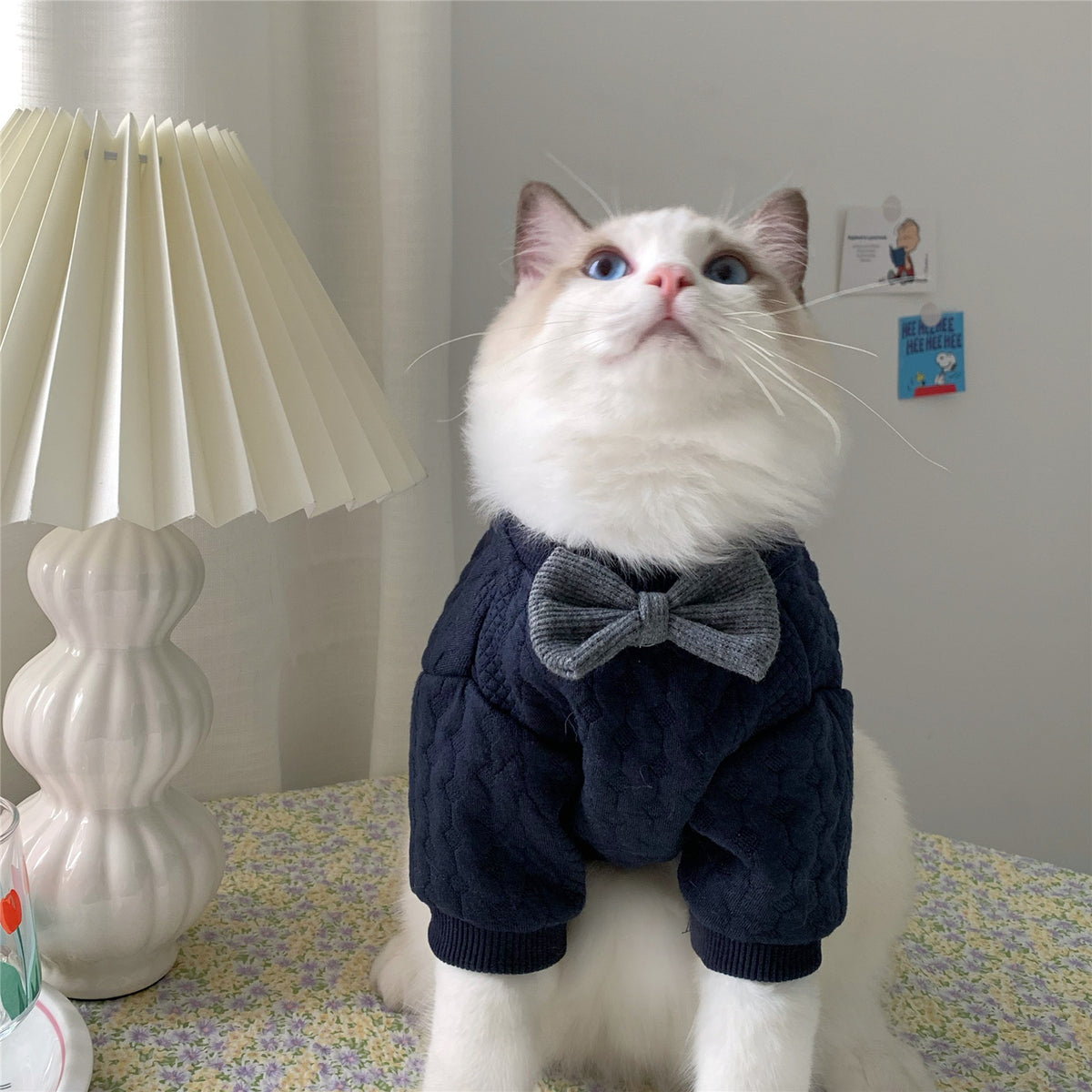 Warm And Cute Clothes For Pets Feet — product detail