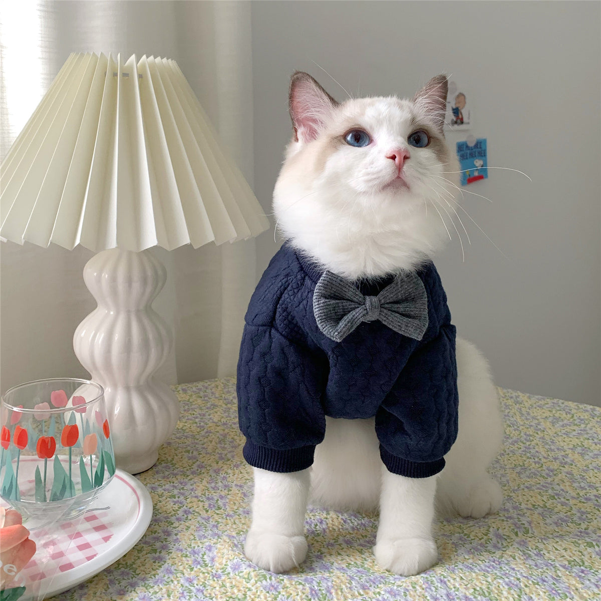 Warm And Cute Clothes For Pets Feet — product detail