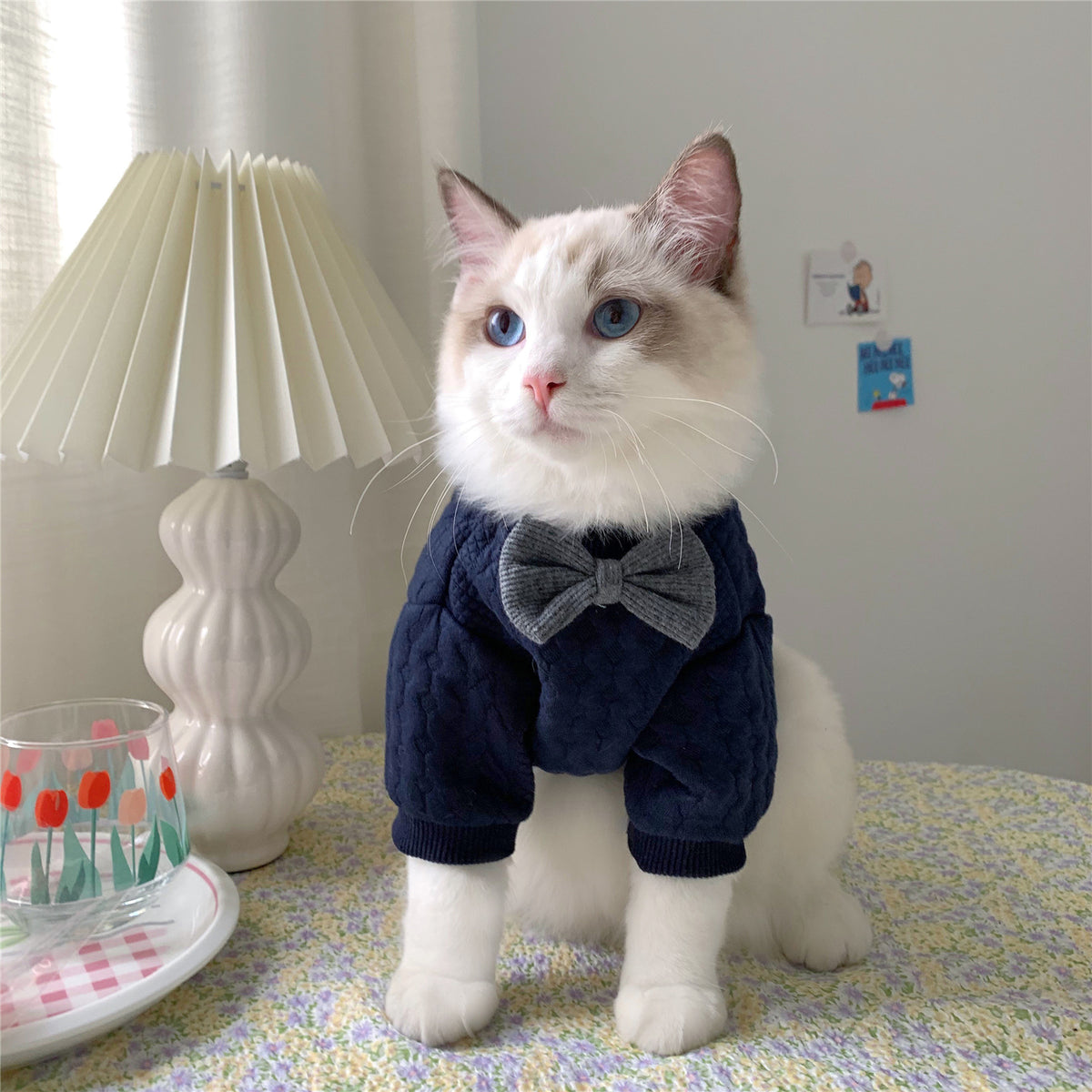 Warm And Cute Clothes For Pets Feet — product detail