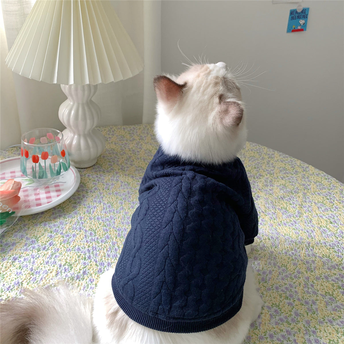 Warm And Cute Clothes For Pets Feet — product detail