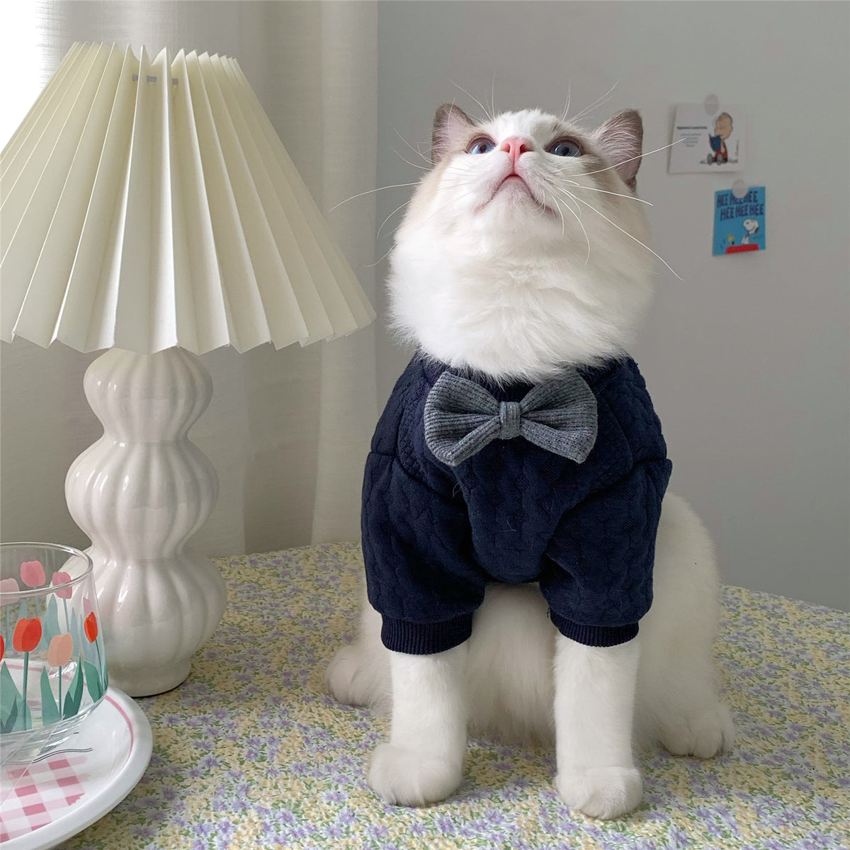 Warm And Cute Clothes For Pets Feet — product detail