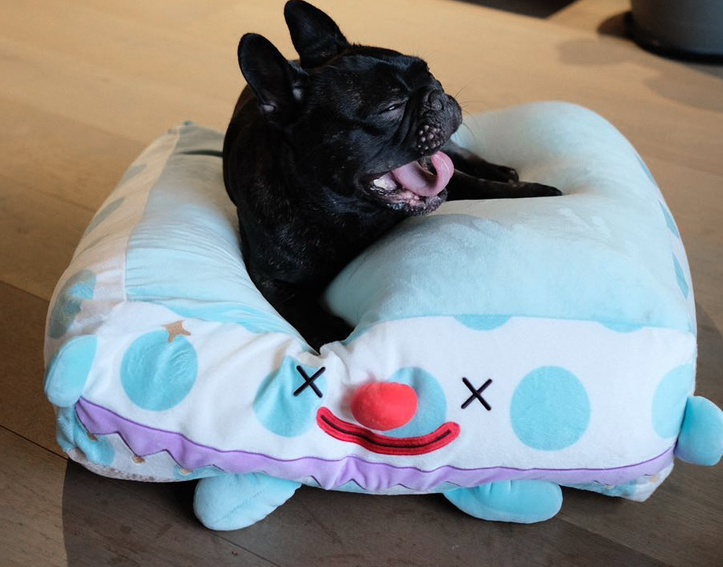 Clown Pet Sleeps In A Cozy Pet Bed — product detail