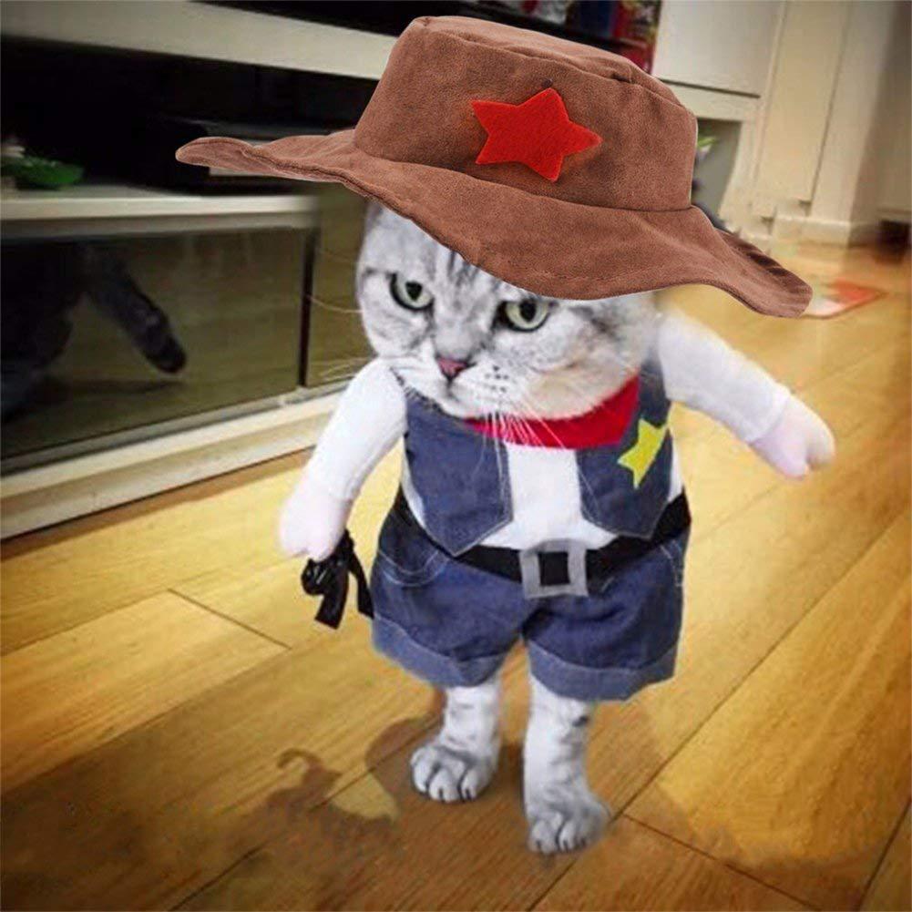 Pet denim costume — product detail