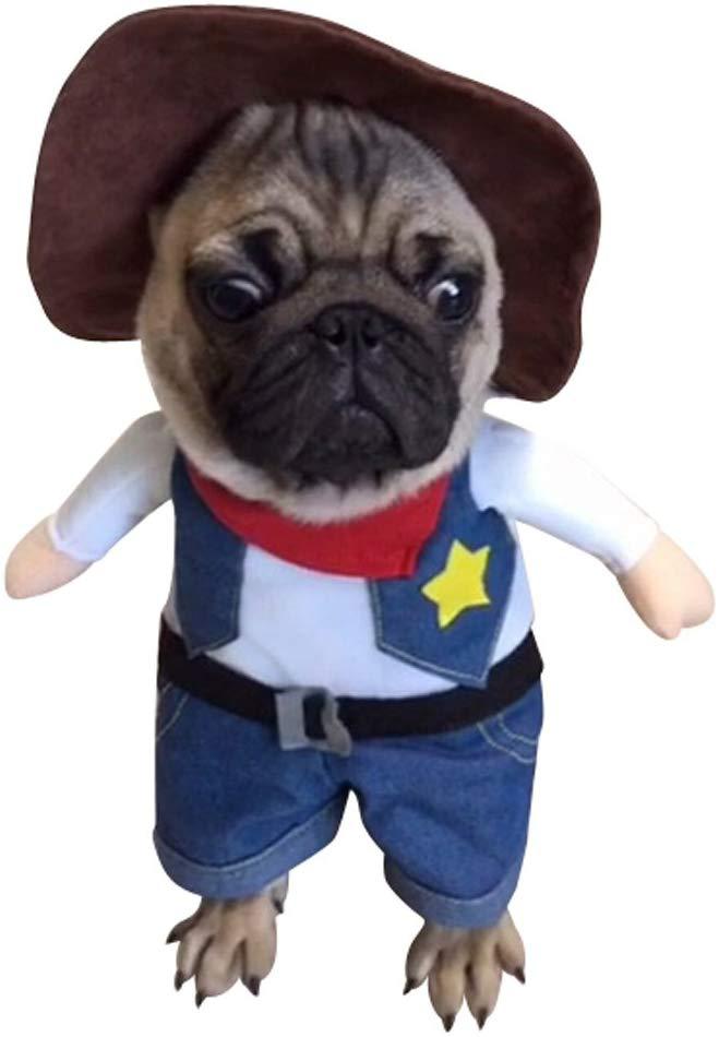 Pet denim costume — product detail