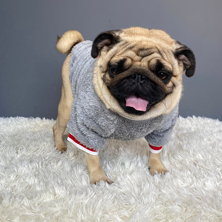 Pet sweater — product detail