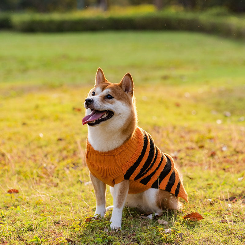 Halloween Dog Sweater — product detail