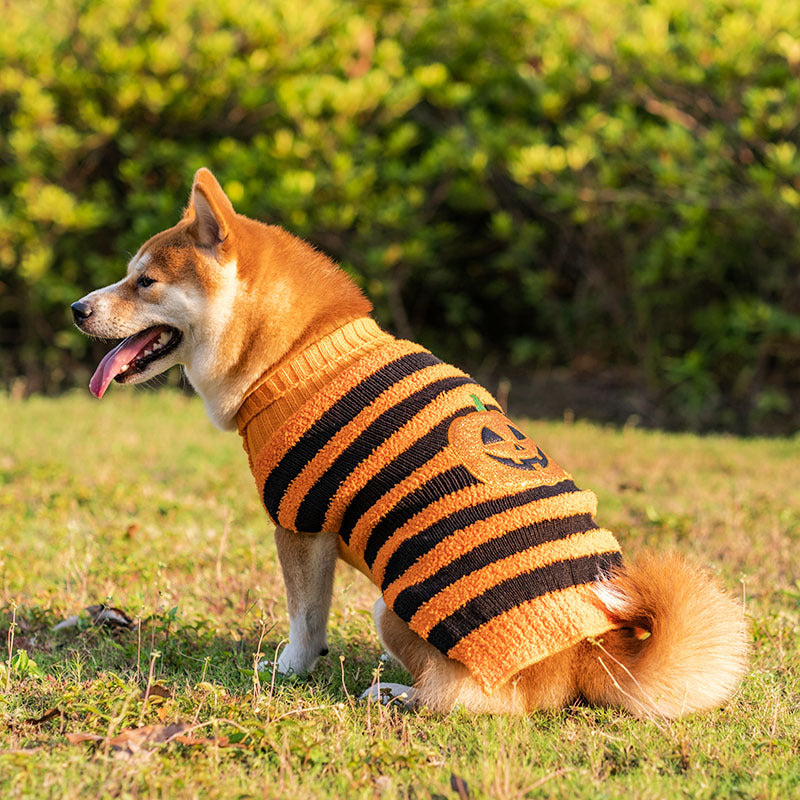 Halloween Dog Sweater — product detail