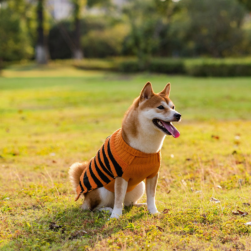 Halloween Dog Sweater — product detail