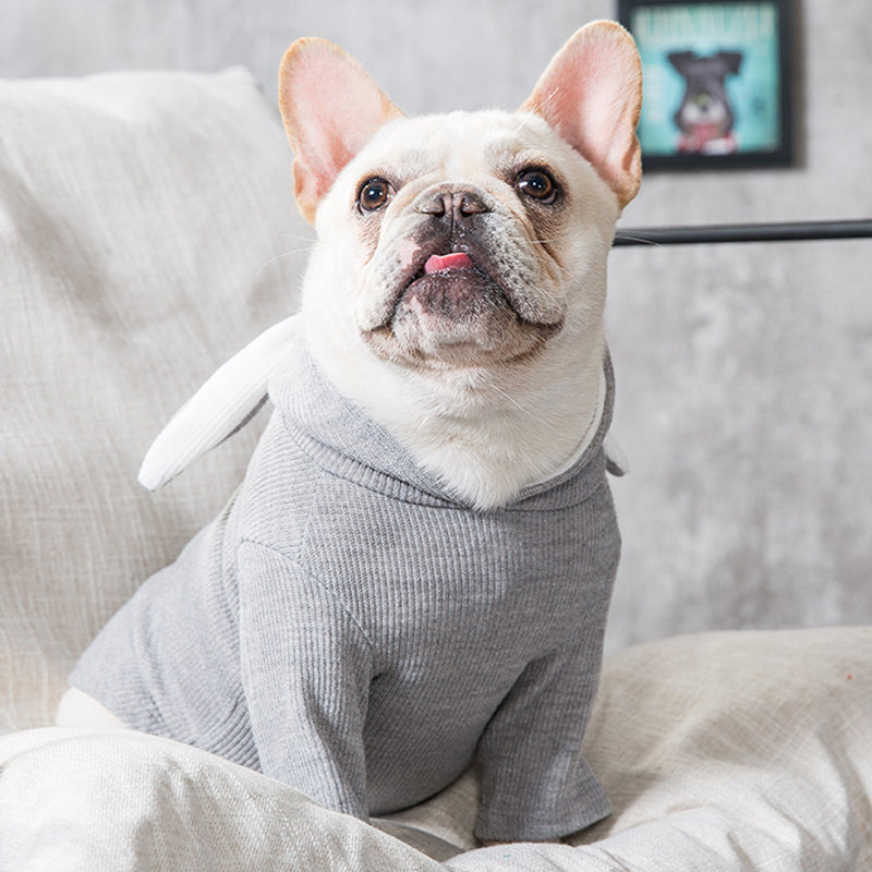 Dog Pet Clothes Spring And Autumn Clothing — product detail