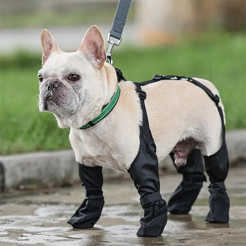 Adjustable Suspender Dog Boots — product detail