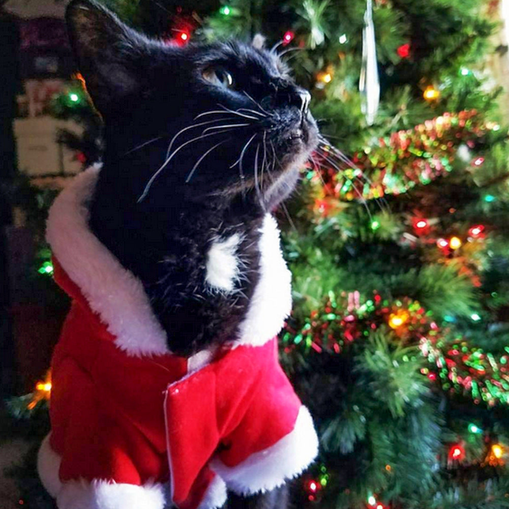 Santa Suit for Dogs — product detail