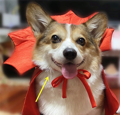 Halloween Pet Costumepet Halloween Cape Vampire King — product detail