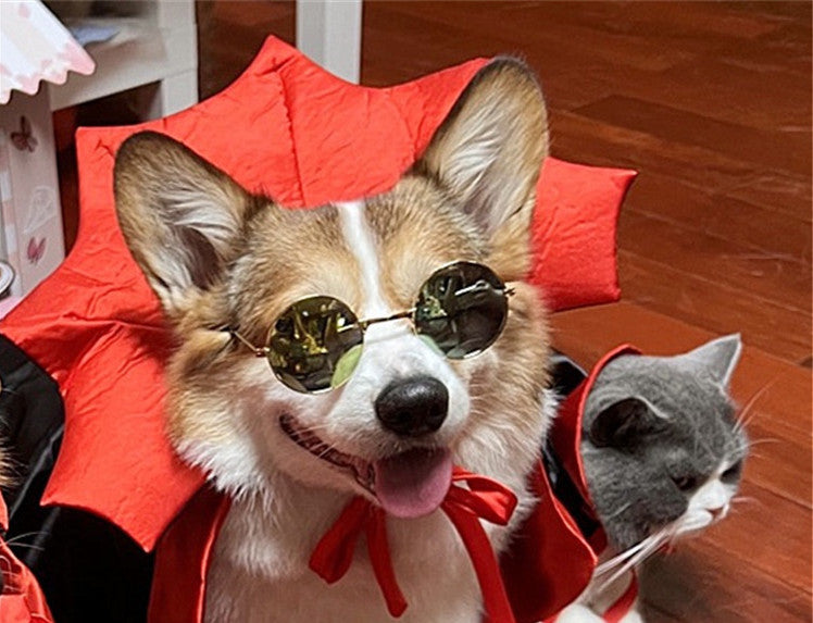 Halloween Pet Costumepet Halloween Cape Vampire King — product detail