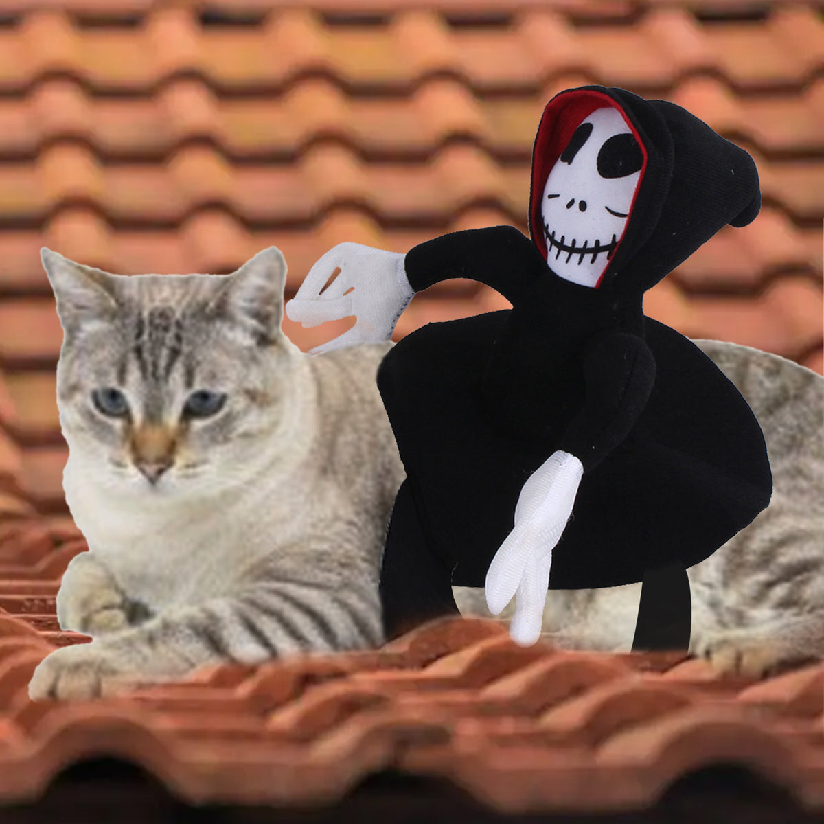 Hooded Skeleton Rider Dog Costume — product detail
