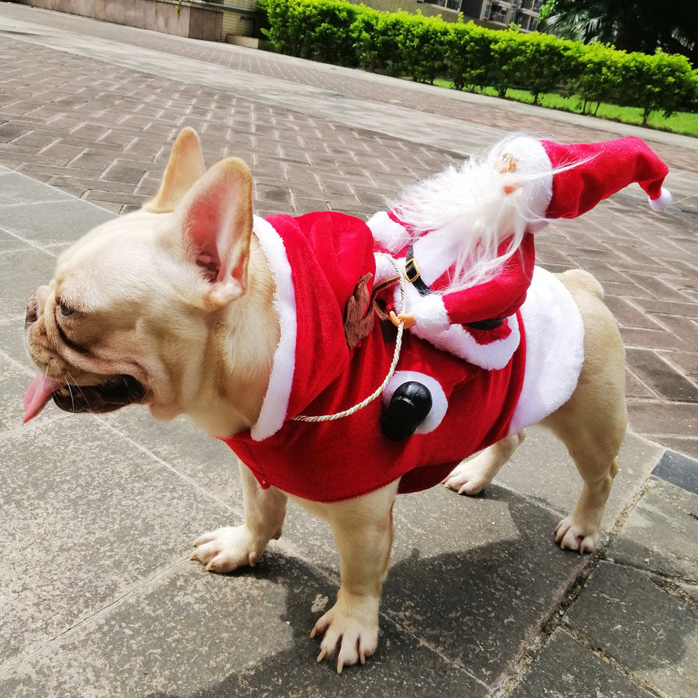 Christmas Rider Costumes for Dogs — product detail