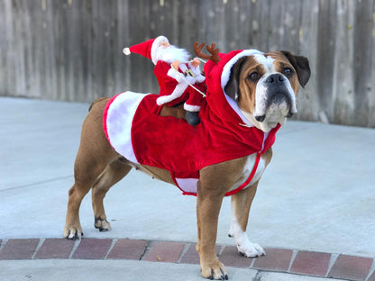 Christmas Rider Costumes for Dogs — product detail